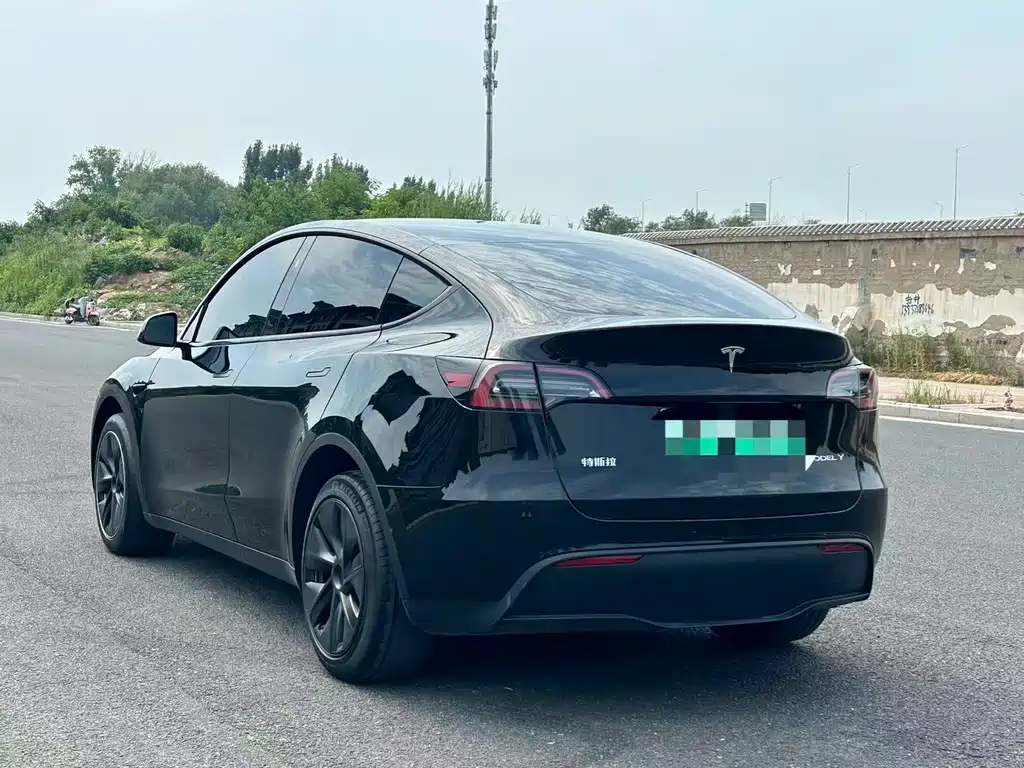 Tesla Model Y 2024 — фото 4