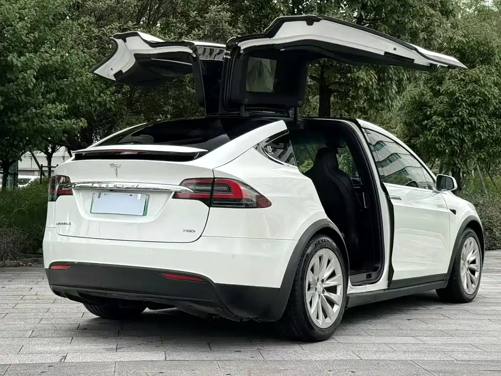 Tesla Model X 2017 — фото 9