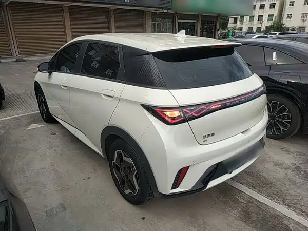 BYD Dolphin 2024