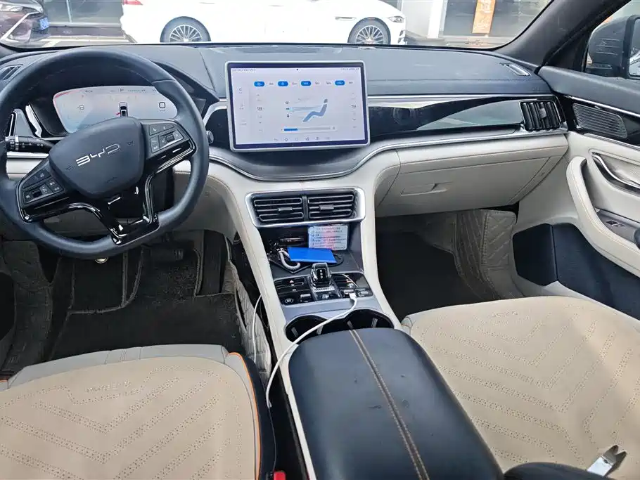 BYD PLUS New Energy 2024 — фото 12