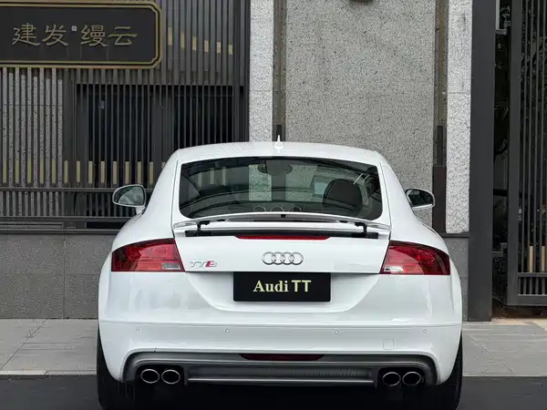 Audi TTS 2013