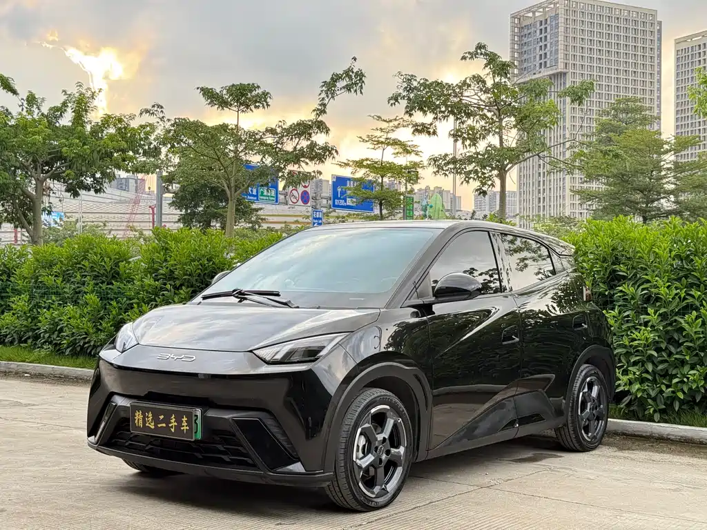 BYD Seagull 2024