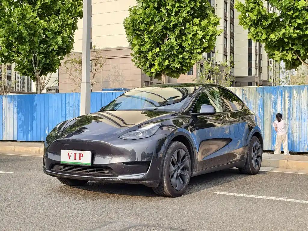 Tesla Model Y 2025 — фото 1
