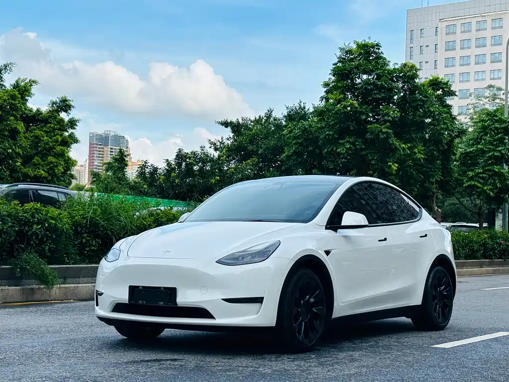 Tesla Model Y 2021 — фото 1