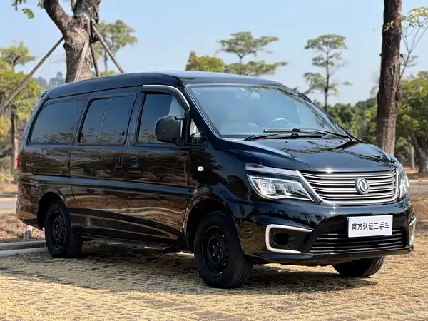 Dongfeng Lingzhi 2020