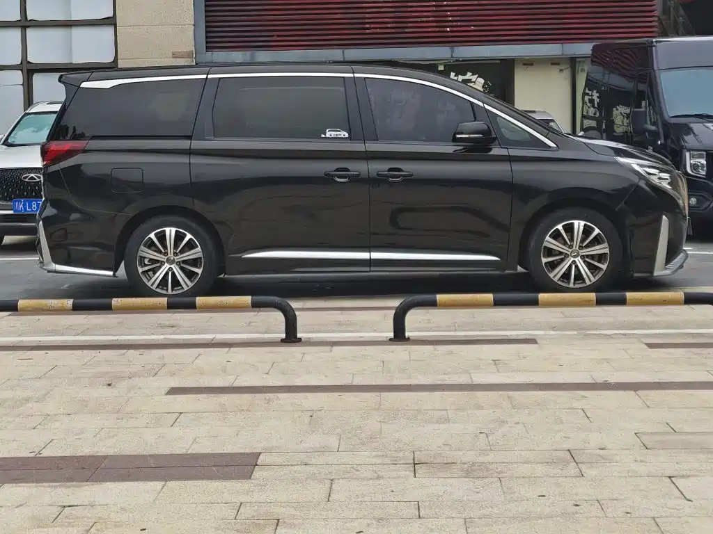 GAC Trumpchi M8 2020 — фото 13