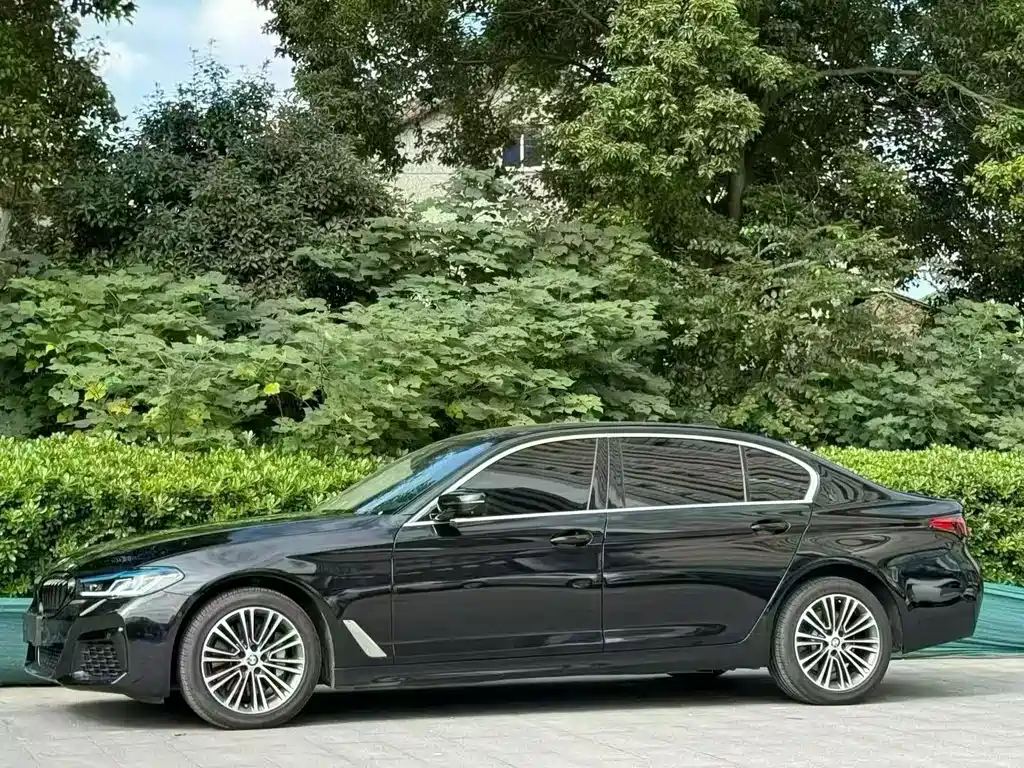 BMW 5 Series 2019