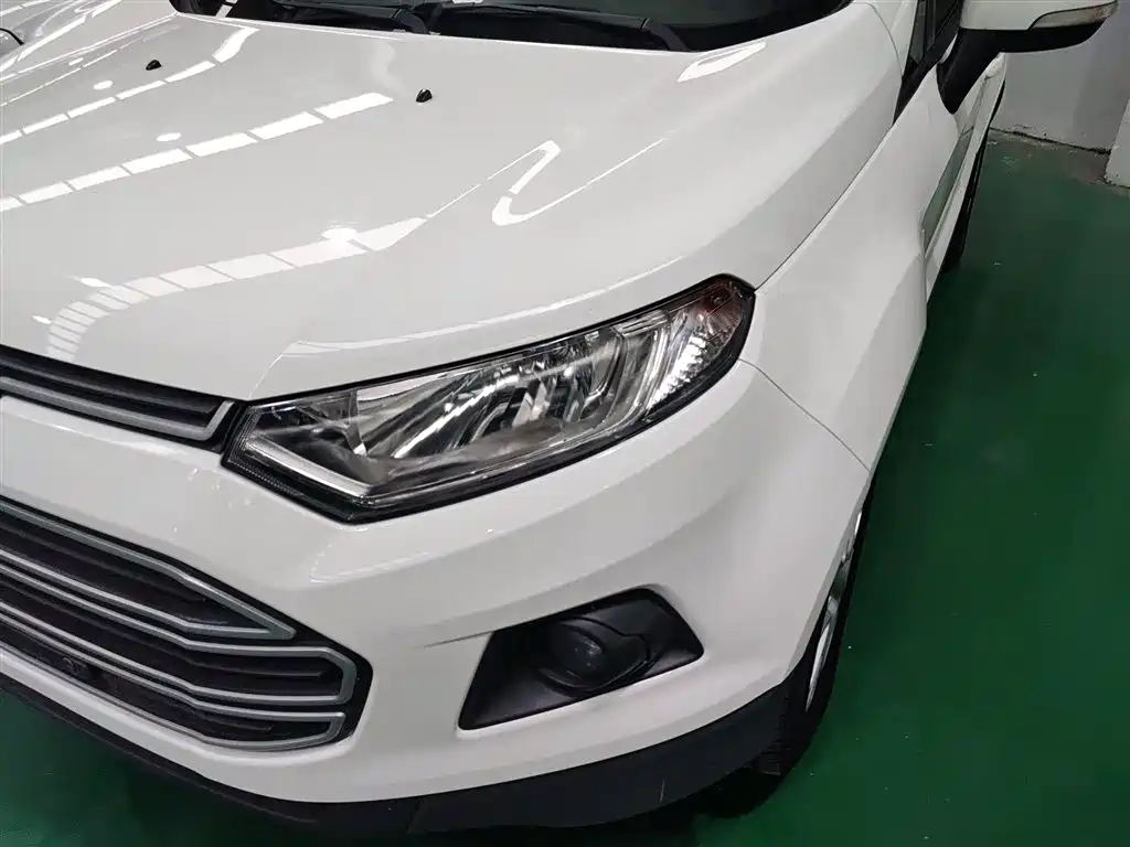 Ford Ecosport 2015 — фото 18