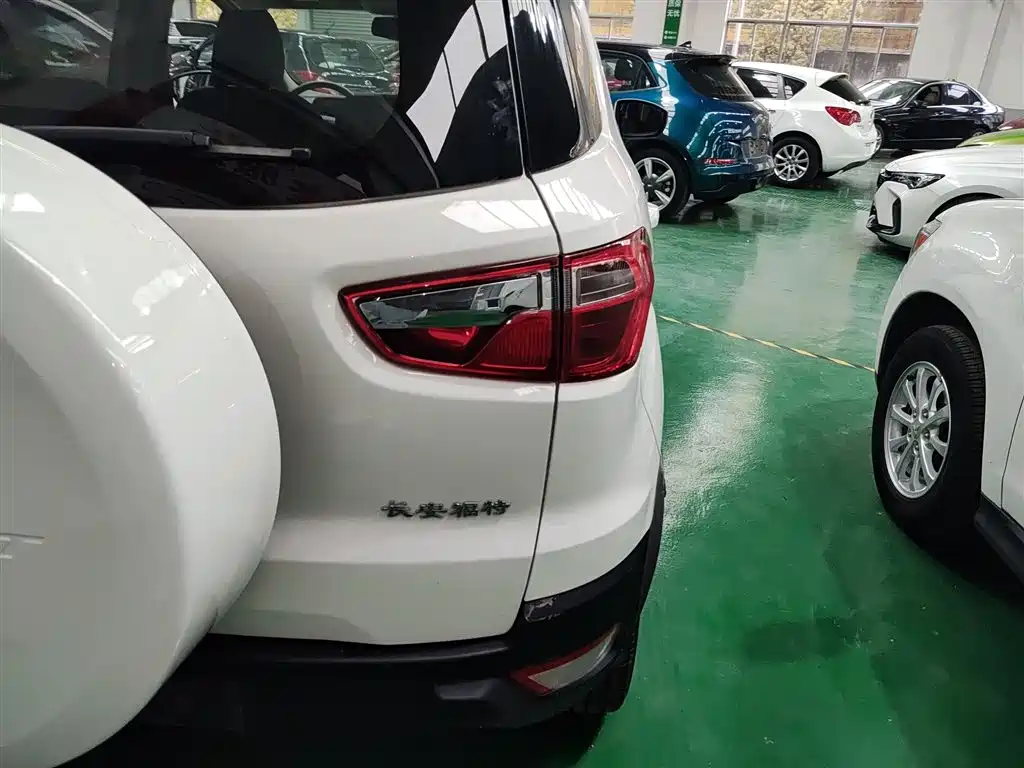 Ford Ecosport 2015 — фото 24