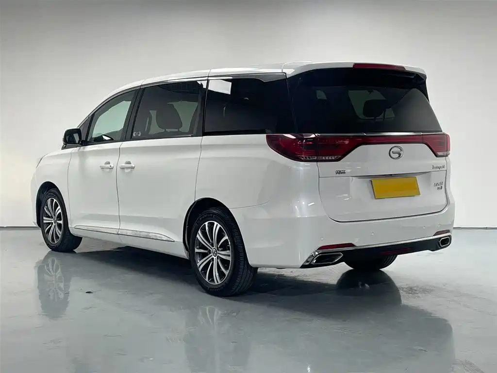 GAC Motor Trumpchi M8 2019 — фото 7