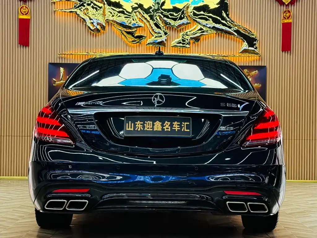 Mercedes-Benz S-Class 2013 — фото 16