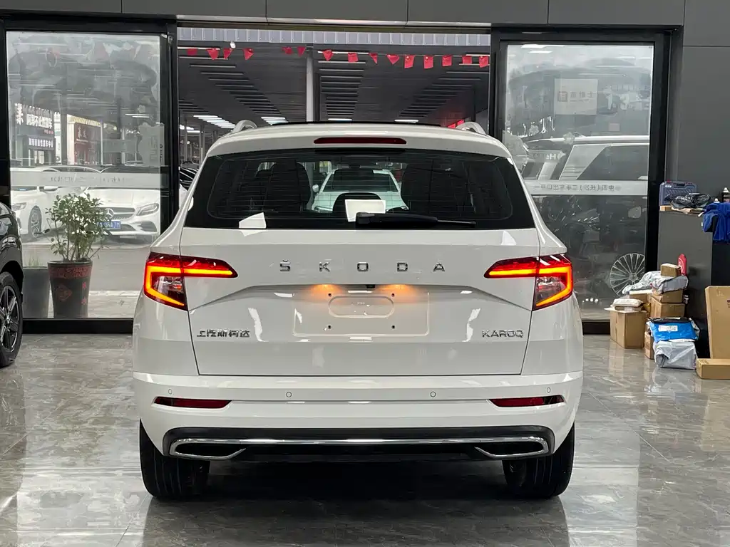 Skoda Karoq 2021 — фото 16