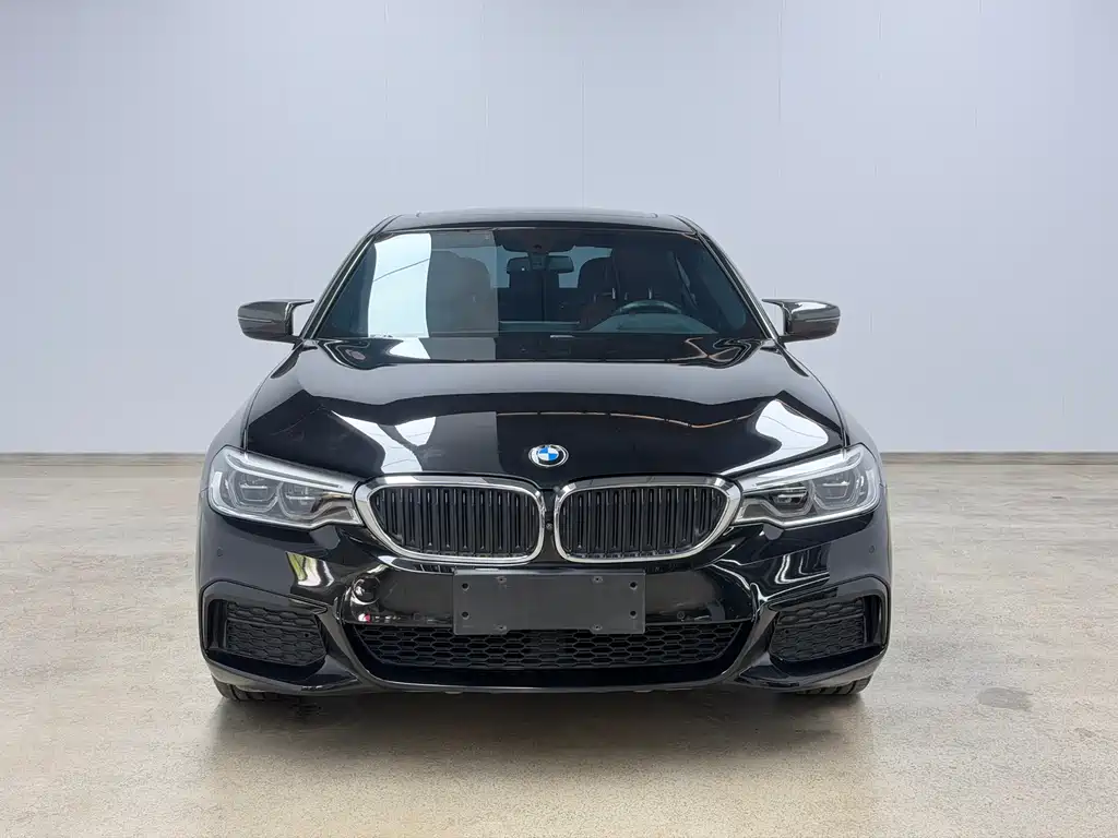 BMW 5 Series 2019 — фото 3
