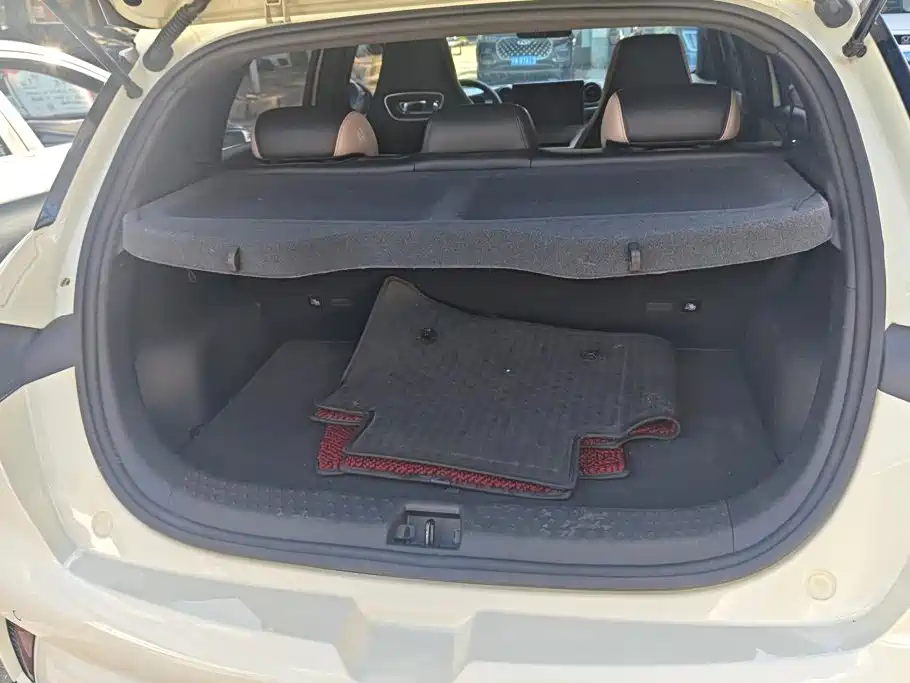 BYD Dolphin 2024
