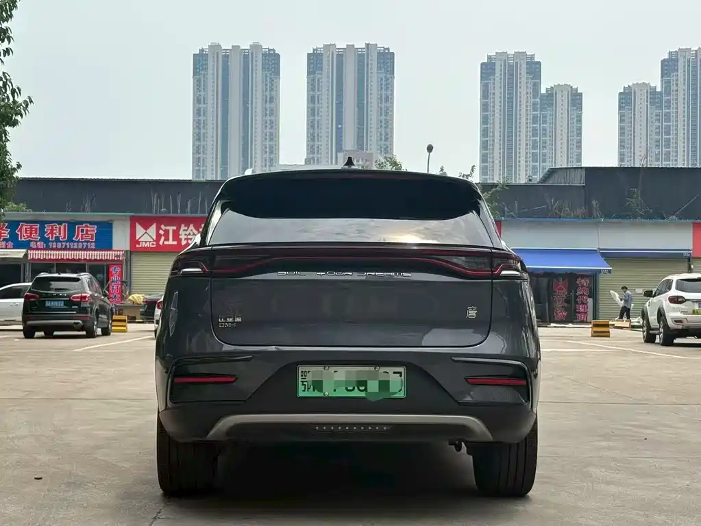 BYD Tang New Energy 2023 — фото 4