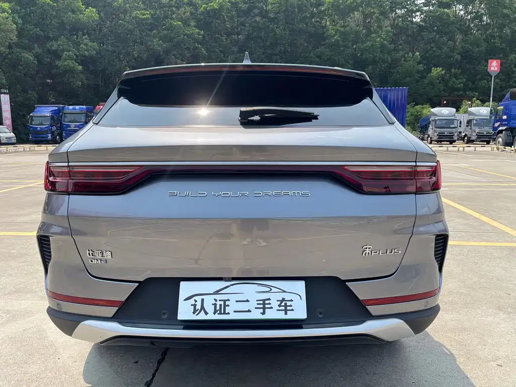 BYD PLUS New Energy 2022 — фото 4