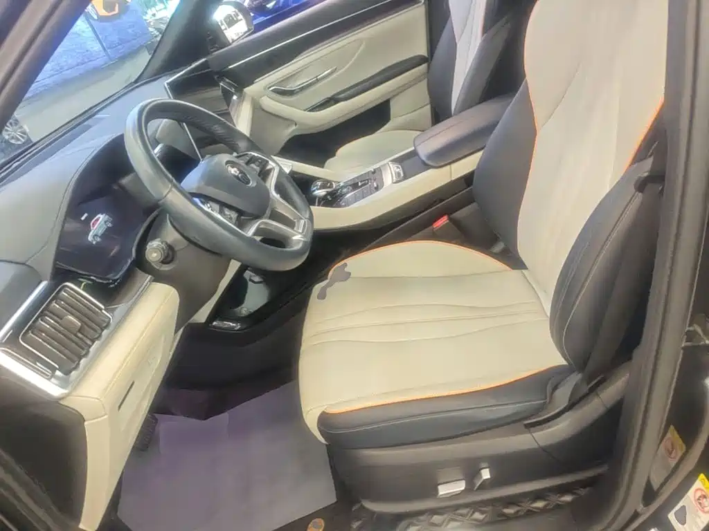 BYD Song PLUS New Energy 2022 — фото 15