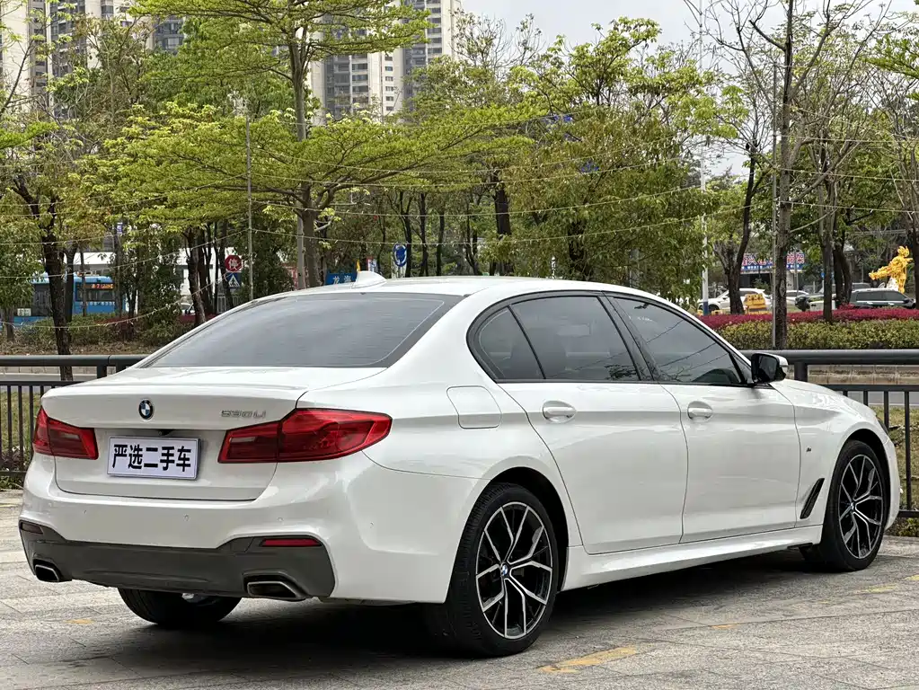 BMW 5 Series 2019 — фото 9