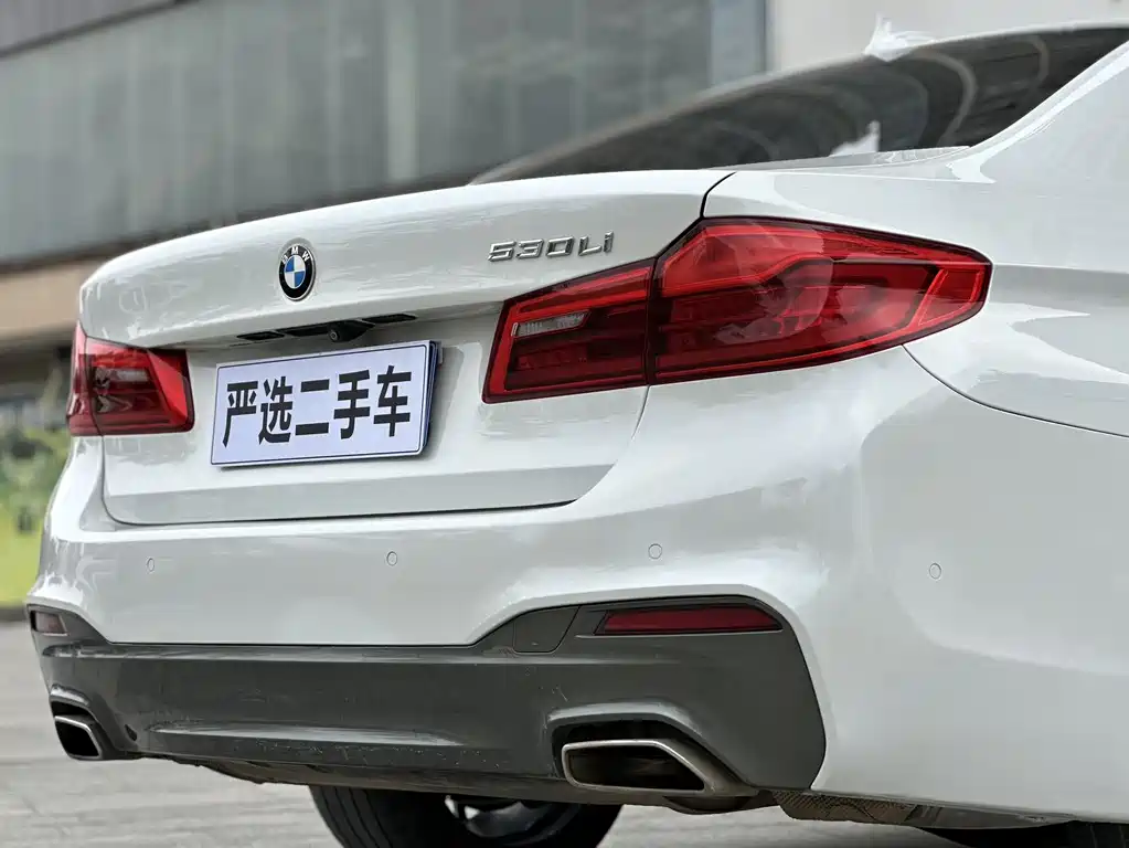 BMW 5 Series 2019 — фото 14