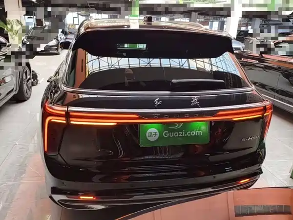 Hongqi E-HS9 2023
