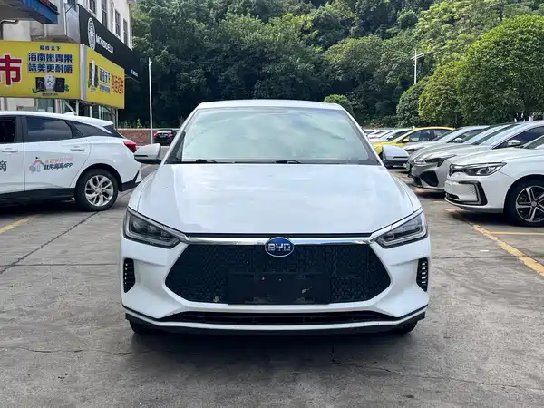 BYD e2 2019