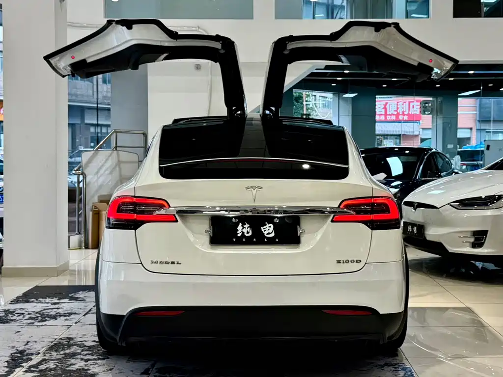 Tesla Model X 2018 — фото 14