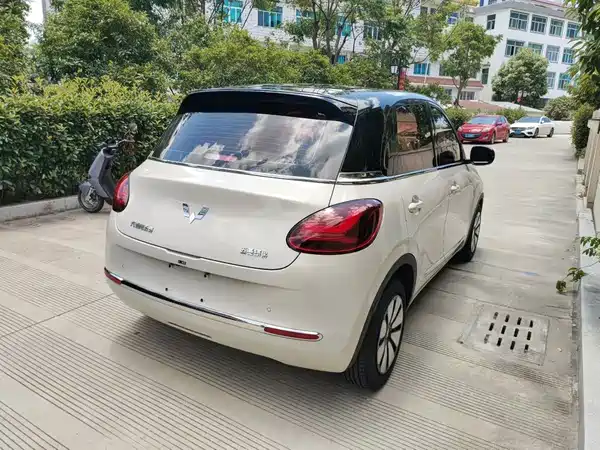Wuling Bingo 2024