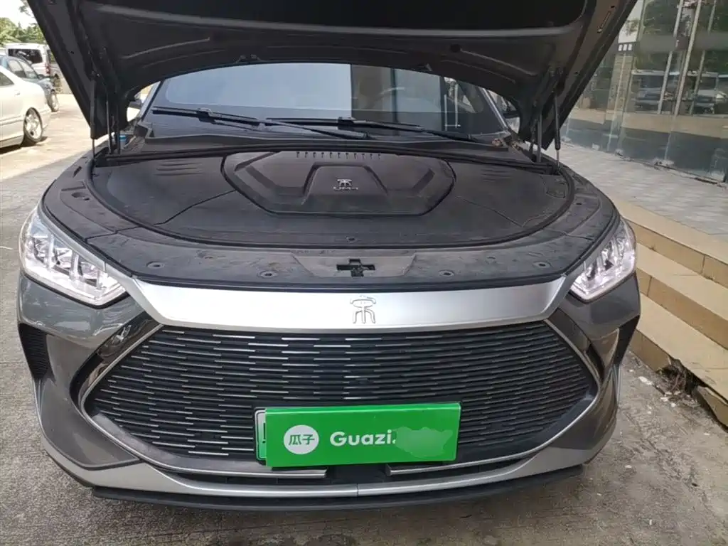 BYD PLUS New Energy 2023 — фото 20