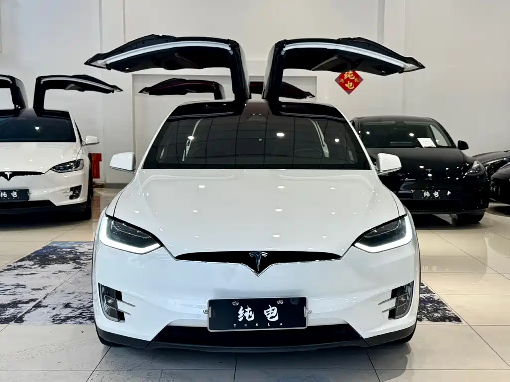 Tesla Model X 2018 — фото 2