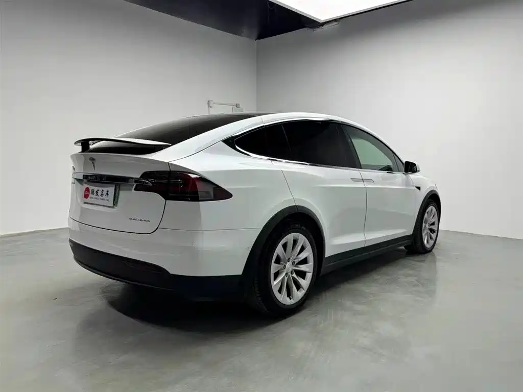 Tesla Model X 2019 — фото 11