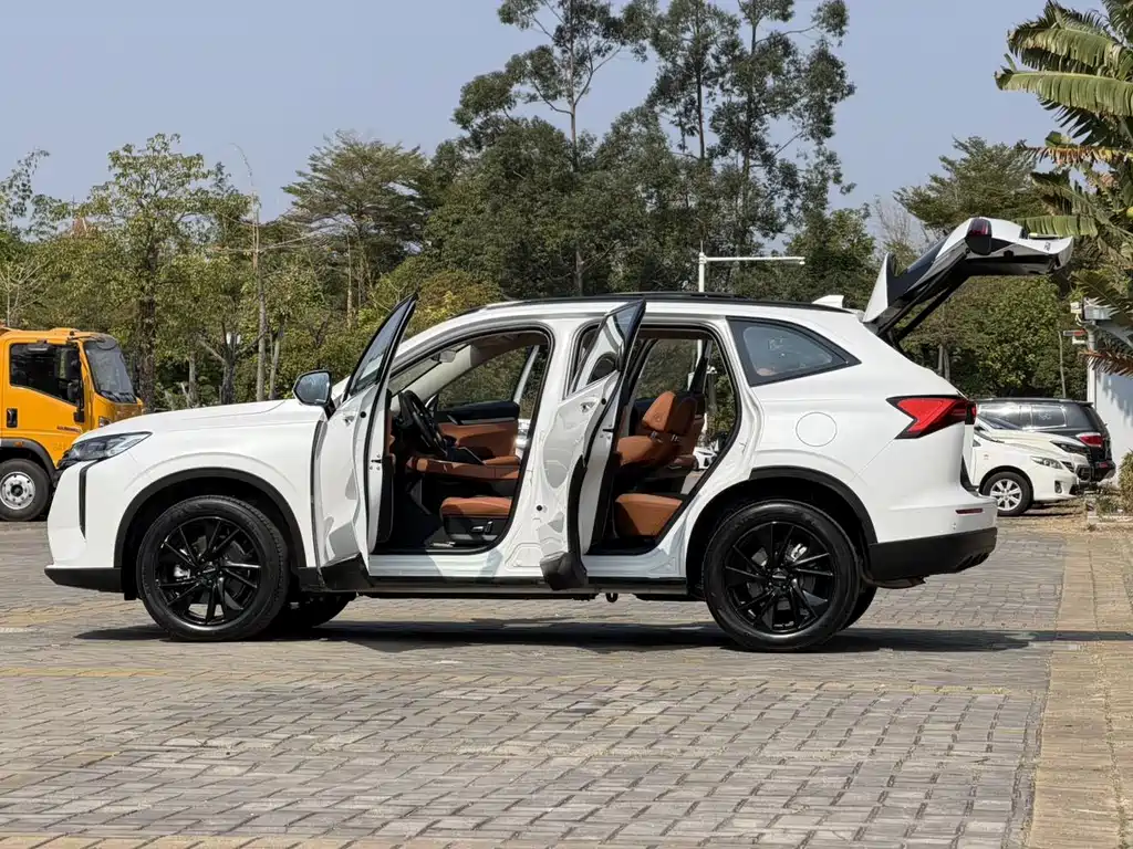 Haval H6 2025 — фото 25