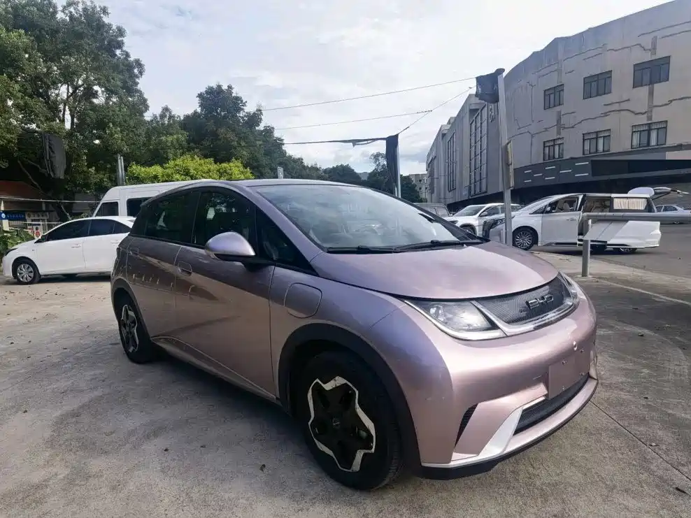 BYD Dolphin 2022