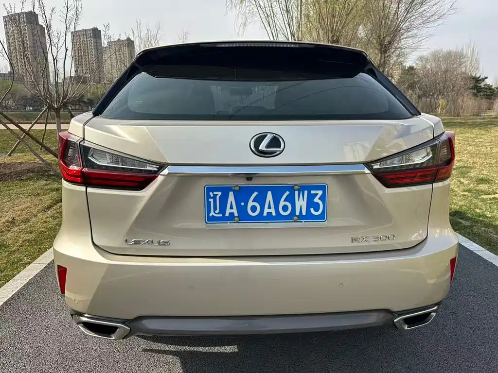 Lexus RX 2016 — фото 5