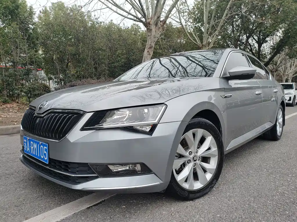 Skoda Speedy 2019