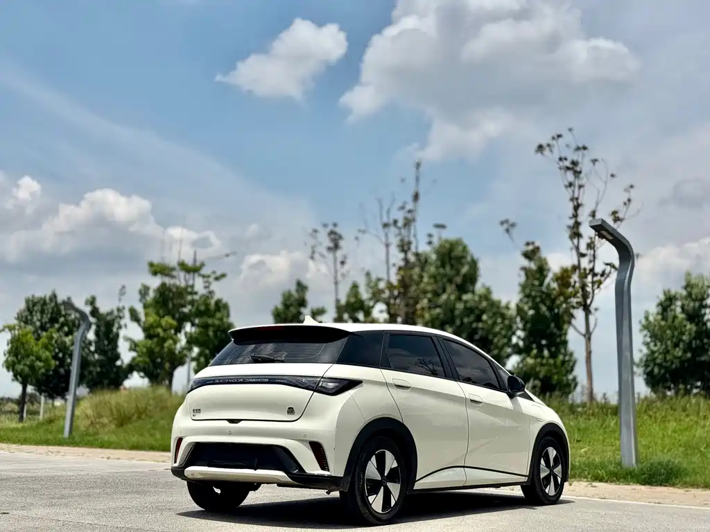 BYD Dolphin 2023