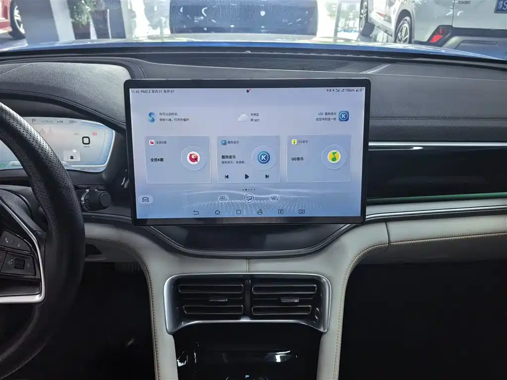 BYD PLUS New Energy 2023 — фото 13