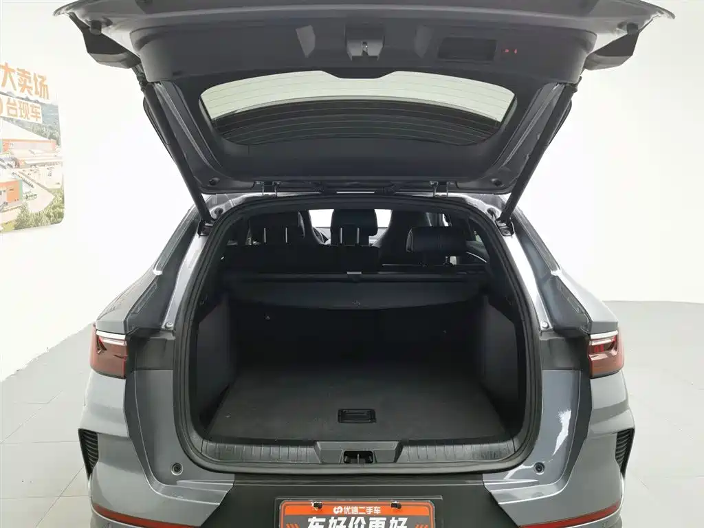 BYD PLUS New Energy 2023 — фото 16