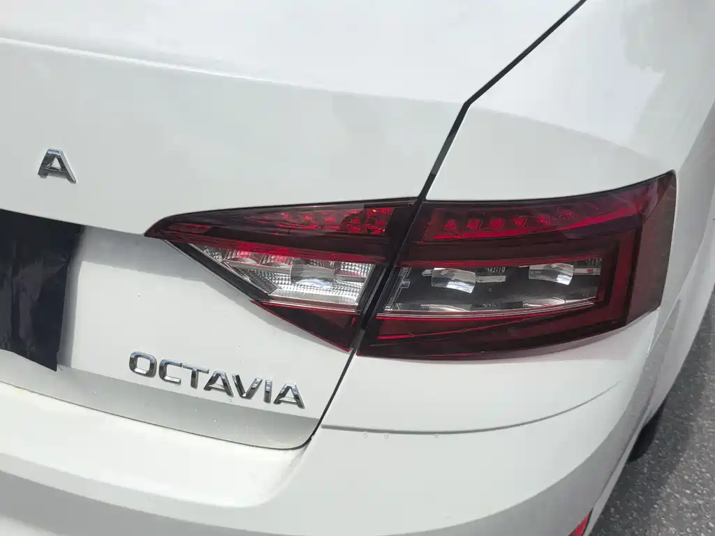 Skoda Octavia 2019 — фото 12