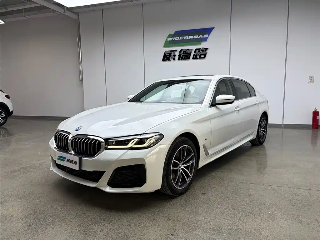 BMW 5 Series 2021