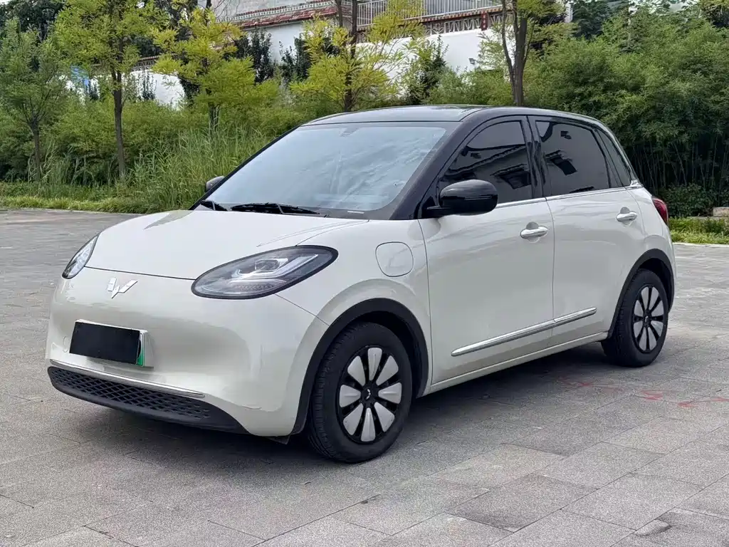 Wuling Bingo 2024