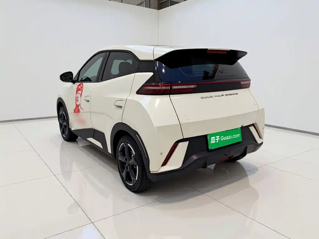 BYD Seagull 2024