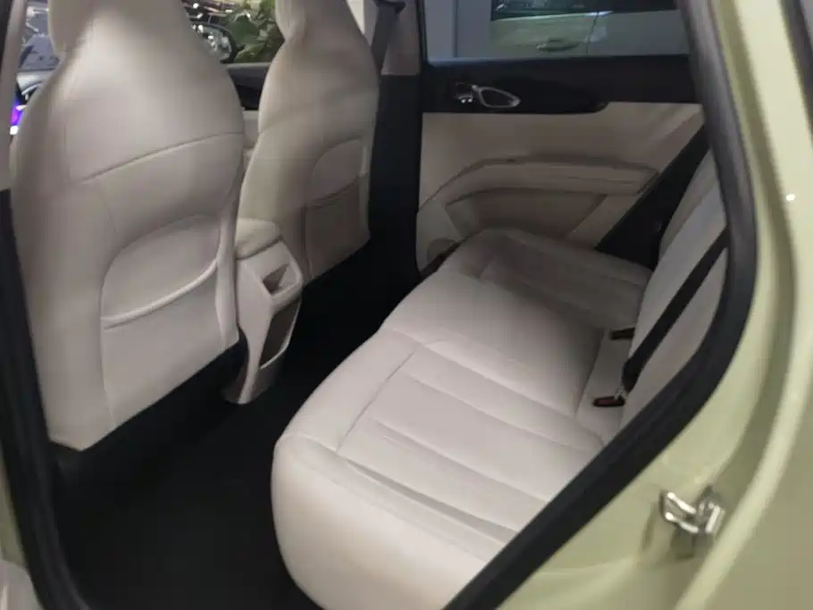 Geely Galaxy Starwish 2025 — фото 11