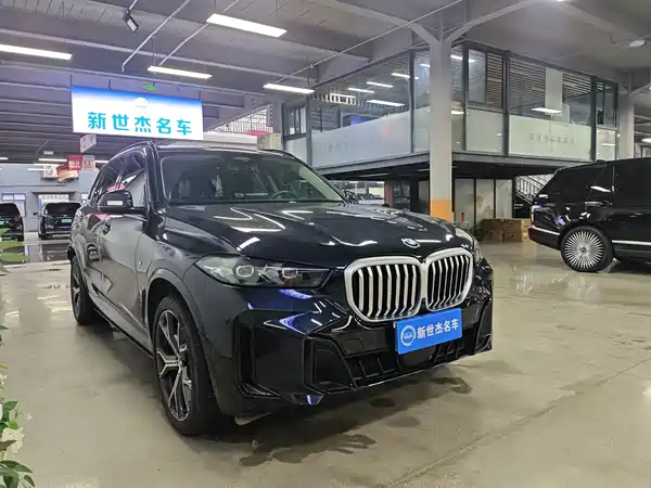 BMW X5 2024