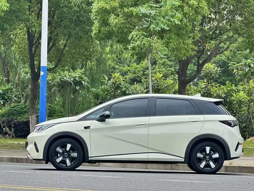 BYD Dolphin 2025