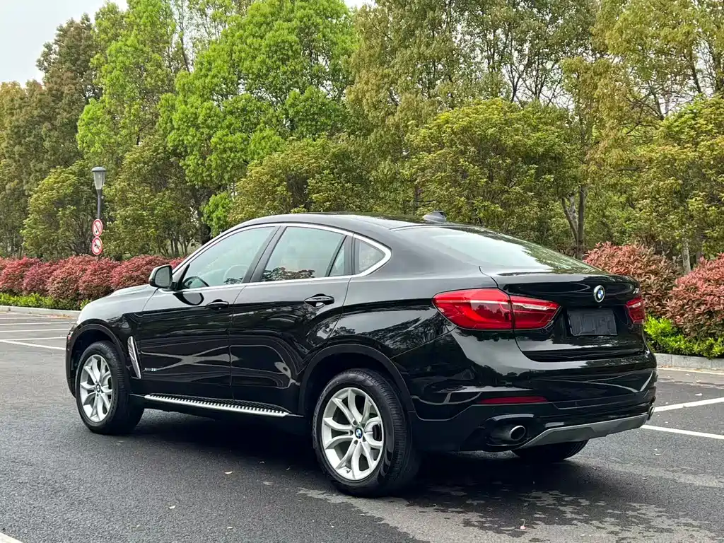 BMW X6 2017 — фото 5