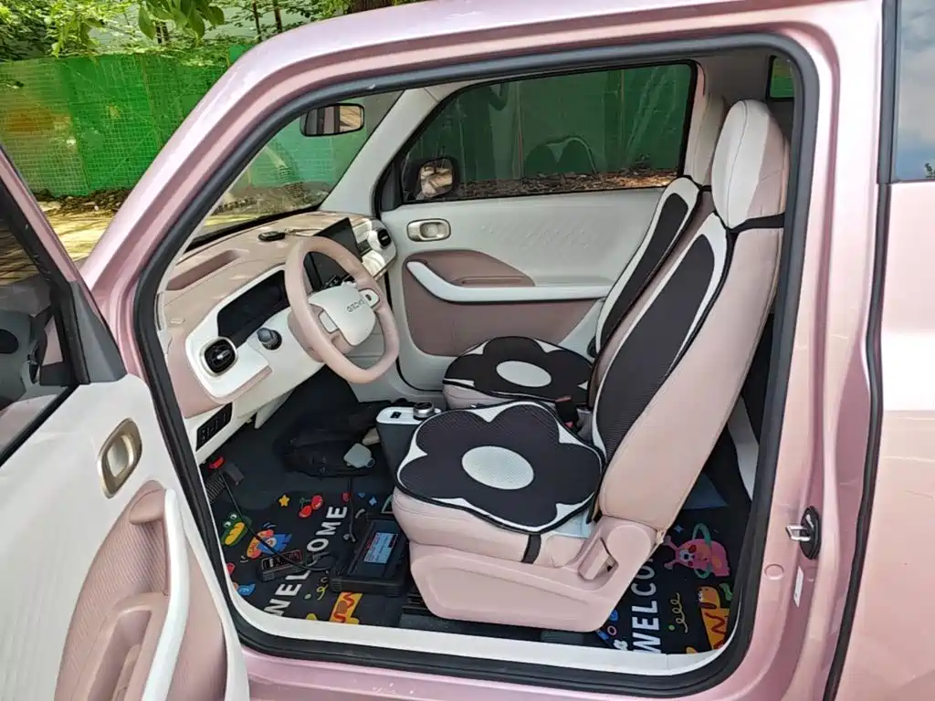 Geely Galaxy Panda 2025 — фото 15