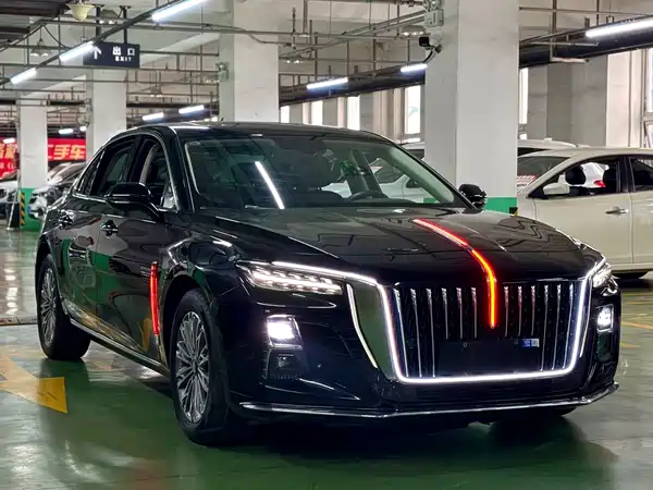 Hongqi H5 2024