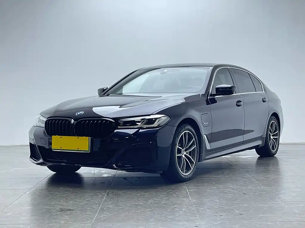 BMW 5 Series New Energy 2022