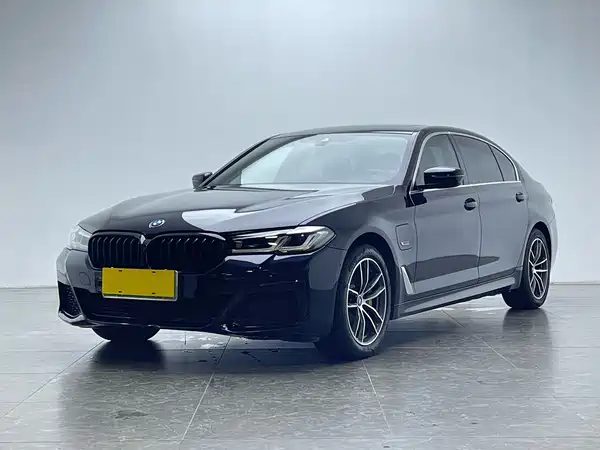 BMW 5 Series New Energy 2022