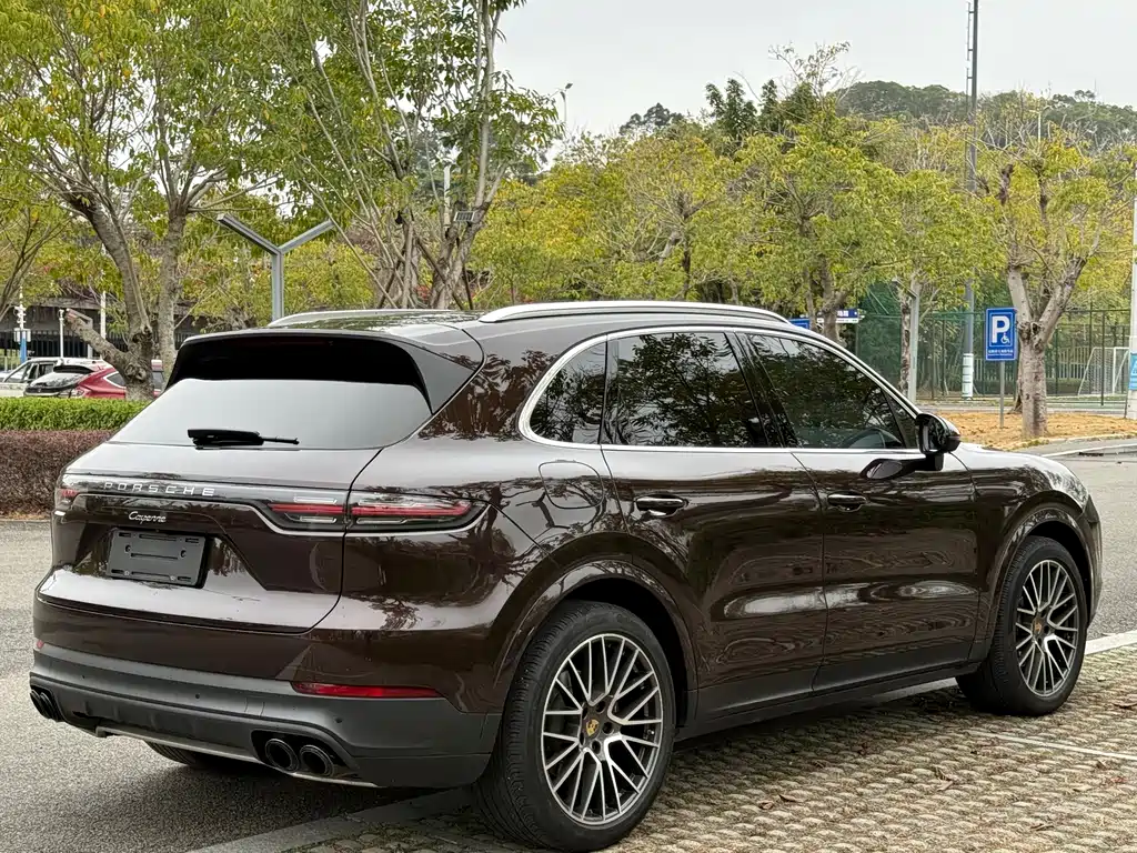 Porsche Cayenne 2019 — фото 18